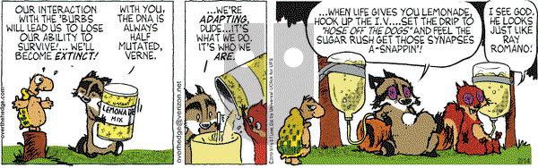 Over the Hedge on Thursday February 14, 2013 Comic Strip