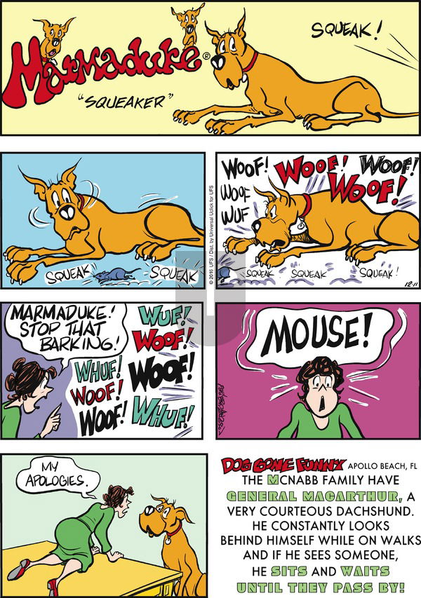 Marmaduke on Sunday December 11, 2016 Comic Strip
