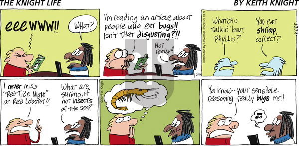The Knight Life on Sunday February 9, 2014 Comic Strip