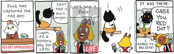 Breaking Cat News on Monday May 8, 2017 Comic Strip