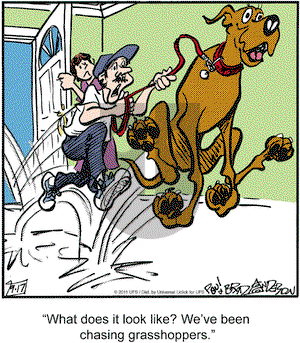 Marmaduke on Saturday September 17, 2011 Comic Strip