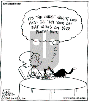 Kit 'N' Carlyle on Thursday January 20, 2005 Comic Strip