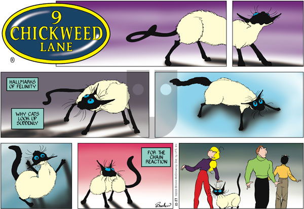 9 Chickweed Lane on Sunday December 27, 2009 Comic Strip