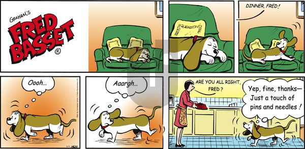 Fred Basset - Sunday June 15, 2014 Comic Strip