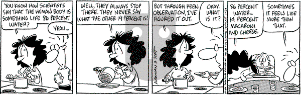 Baby Blues - Monday January 29, 1996 Comic Strip