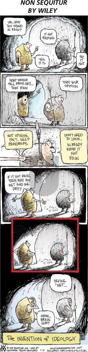 Non Sequitur on Sunday January 11, 2009 Comic Strip