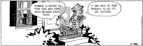 Calvin and Hobbes - Friday August 18, 1995 Comic Strip