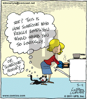 Kit 'N' Carlyle on Friday March 11, 2011 Comic Strip