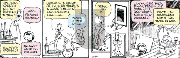Non Sequitur on Wednesday December 30, 2015 Comic Strip