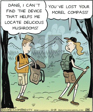 Brevity on Tuesday November 15, 2016 Comic Strip