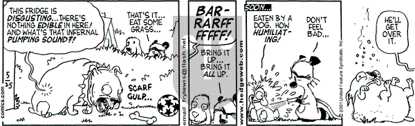 Over the Hedge on Friday May 25, 2001 Comic Strip
