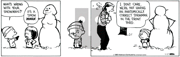 Calvin and Hobbes - Thursday January 17, 2013 Comic Strip