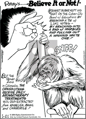 Ripley's Believe It or Not on Wednesday January 21, 2004 Comic Strip