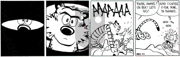 Calvin and Hobbes on Friday June 16, 1995 Comic Strip