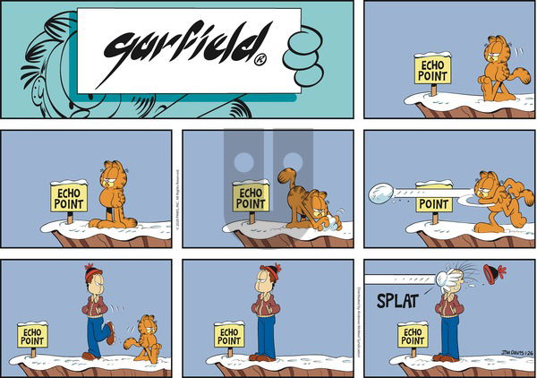 Garfield on Sunday January 26, 2020 Comic Strip