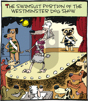 Reality Check on Friday June 13, 2014 Comic Strip