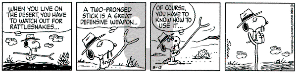 Peanuts on Wednesday August 13, 1986 Comic Strip