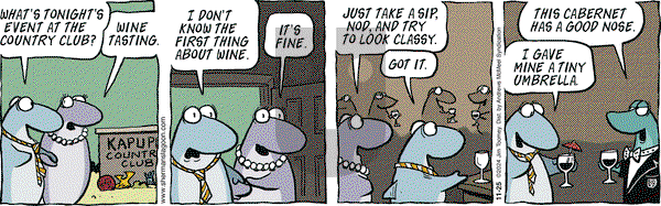 Sherman's Lagoon - Monday November 25, 2024 Comic Strip