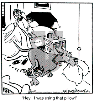Marmaduke on Tuesday December 12, 2006 Comic Strip