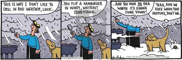 Overboard on Friday January 20, 2017 Comic Strip