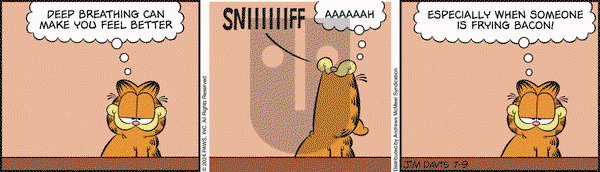 Garfield - Tuesday July 9, 2024 Comic Strip