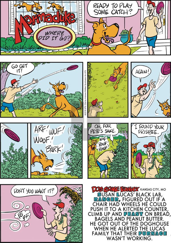 Marmaduke on Sunday August 5, 2018 Comic Strip