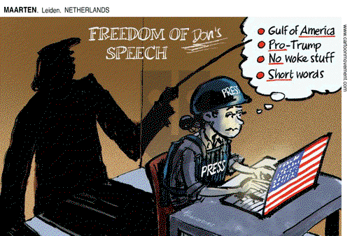 ViewsAmerica on Tuesday February 25, 2025 Comic Strip