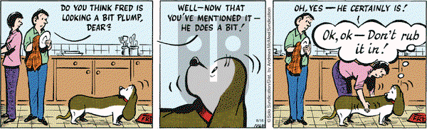 Fred Basset on Monday August 16, 2021 Comic Strip