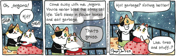 Breaking Cat News on Friday January 25, 2019 Comic Strip