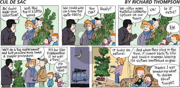 Cul de Sac on Sunday December 21, 2008 Comic Strip