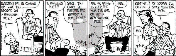 Calvin and Hobbes - Friday September 2, 1988 Comic Strip