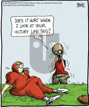 In the Bleachers on Friday August 21, 2015 Comic Strip