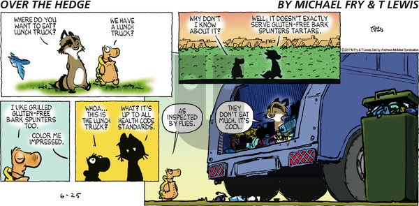 Over the Hedge on Sunday June 25, 2017 Comic Strip
