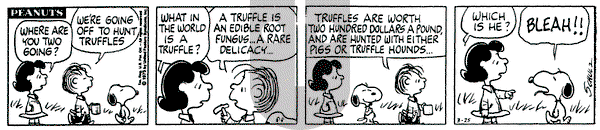 Peanuts on Tuesday March 25, 1975 Comic Strip