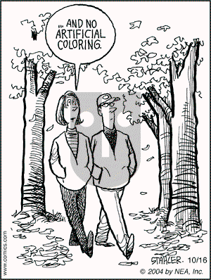 Moderately Confused on Saturday October 16, 2004 Comic Strip
