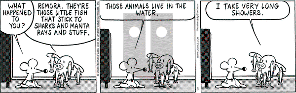 Pearls Before Swine on Monday January 7, 2008 Comic Strip