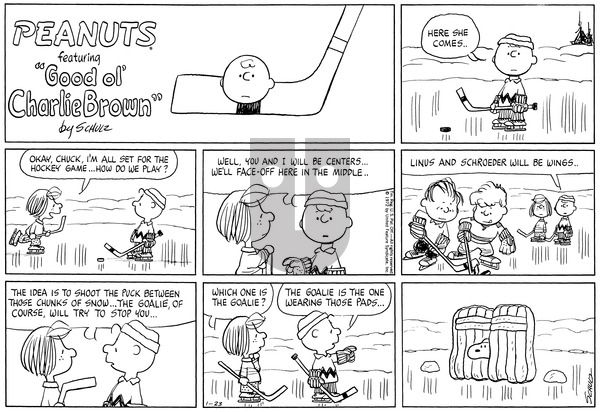 Peanuts on Sunday January 23, 1972 Comic Strip