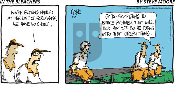 In the Bleachers on Sunday December 15, 2013 Comic Strip