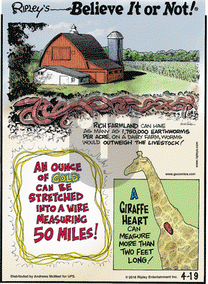 Ripley's Believe It or Not on Thursday April 19, 2018 Comic Strip