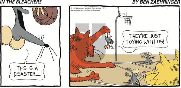 In the Bleachers on Sunday May 11, 2025 Comic Strip