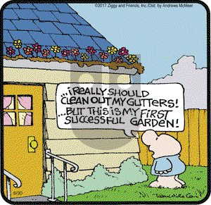 Ziggy on Friday June 30, 2017 Comic Strip