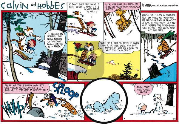 Calvin and Hobbes on Sunday February 2, 1992 Comic Strip