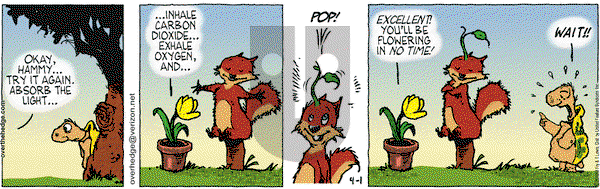 Over the Hedge on Thursday April 1, 2010 Comic Strip