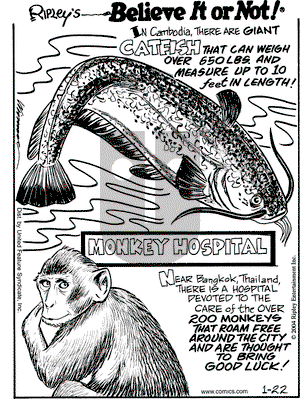Ripley's Believe It or Not on Thursday January 22, 2004 Comic Strip