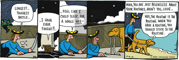 Overboard on Saturday August 14, 2010 Comic Strip