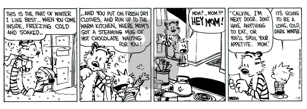 Calvin and Hobbes on Friday January 5, 1990 Comic Strip