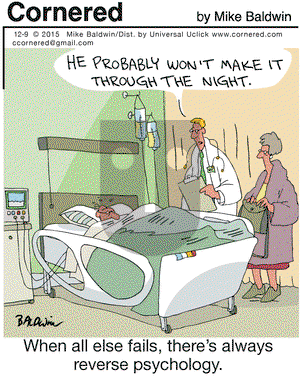 Cornered on Wednesday December 9, 2015 Comic Strip