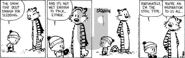 Calvin and Hobbes - Saturday December 26, 1992 Comic Strip