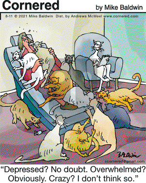 Cornered on Wednesday August 11, 2021 Comic Strip
