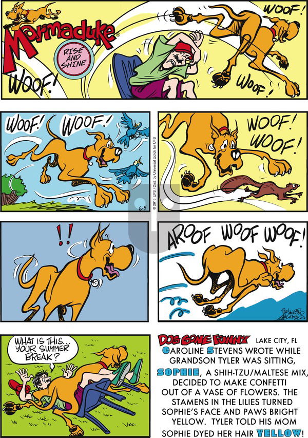Marmaduke on Sunday June 5, 2016 Comic Strip